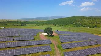 FARIA Renewables και Duferco Hellas Yπογράφουν 10ετή PPA για την Προμήθεια Ανανεώσιμης Ενέργειας